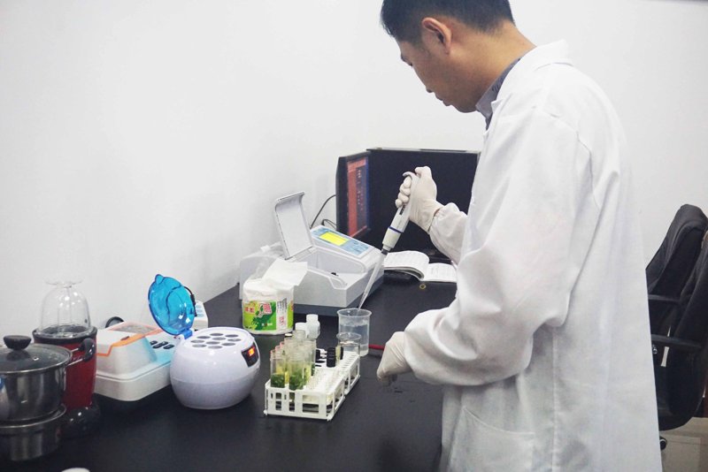 影视制作:一部电影背后的打磨与创新之旅